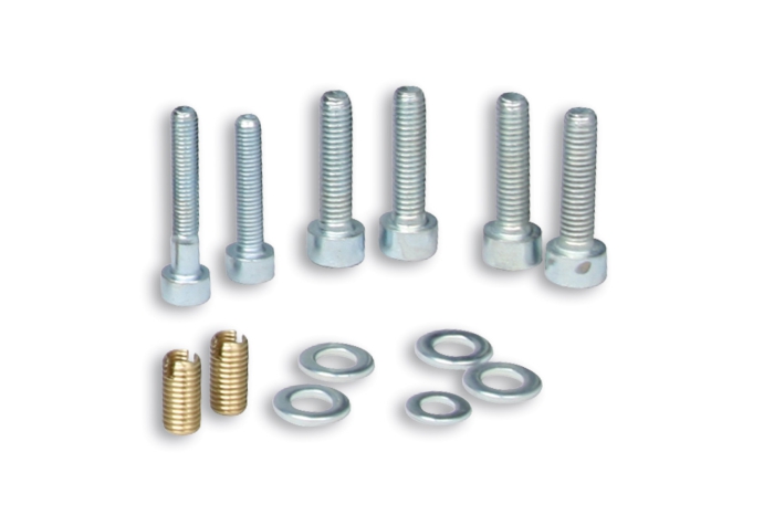 screw kit for vespa reed valve system