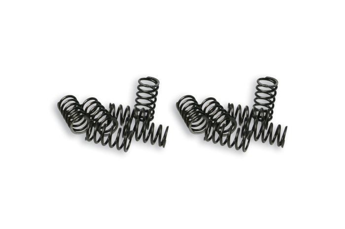 12 clutch springs for piaggio ape fl and vespa pk fl - hp fl 125 - 150 cc