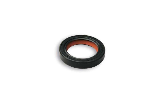 fkm/ptfe oil-seal ø 22x32x6 mm for wheel axis for per  minarelli - yamaha scooter and quad 2t 50 cc