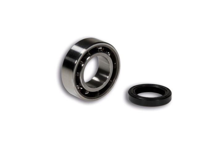 roller bearing / oil-seal kit